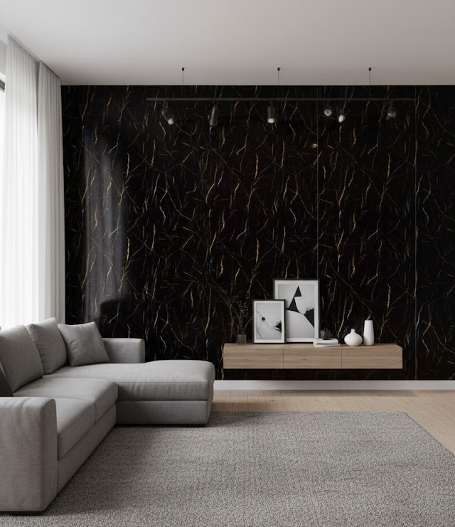 Calacatta Black - Close Up Detail