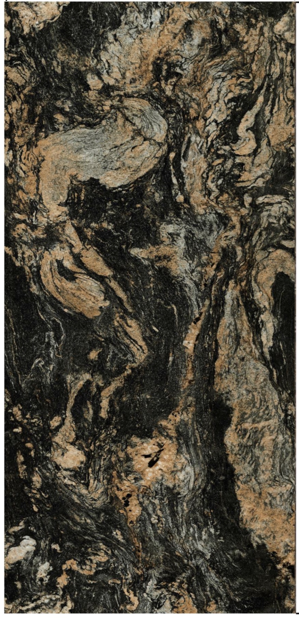 Van Gogh Espresso - Angle View