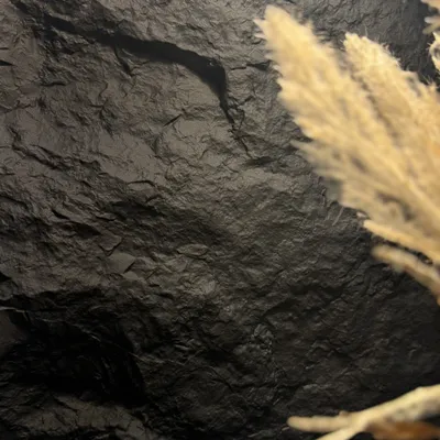 Graphite Black wall panel finish